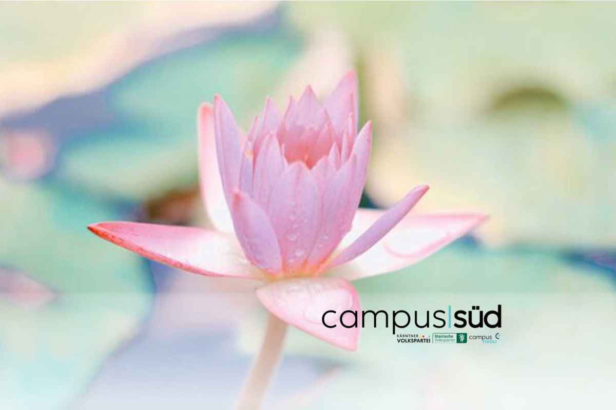 Campus Süd: WERTvoll für Österreich. Campus Süd: WERTvoll für Österreich.