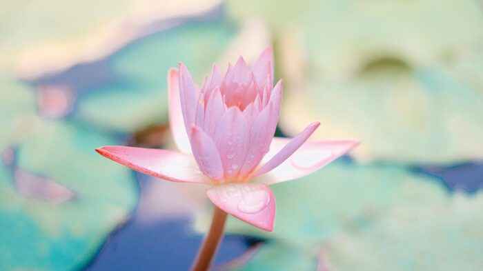 WERTvoll für Österreich. Der Werte-Workshop für Verantwortungsträger.